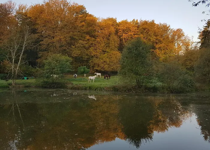 Le jardin de Saint Jean