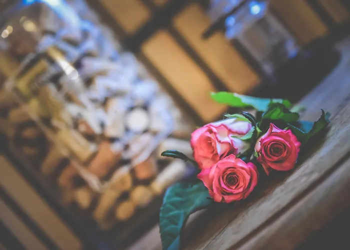 Les Roses de Montherlant